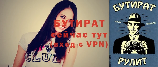соль ск Дмитриев