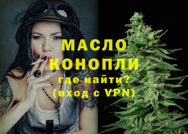 соль ск Дмитриев