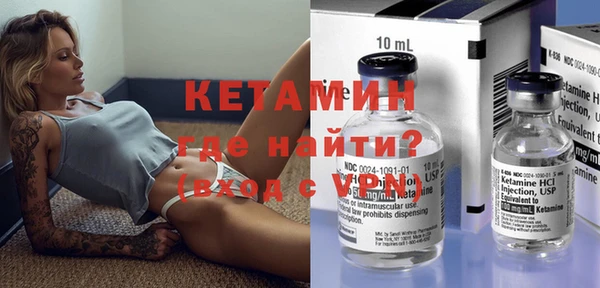 соль ск Дмитриев