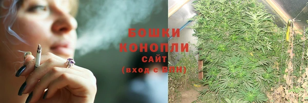 гидропоника Дмитров