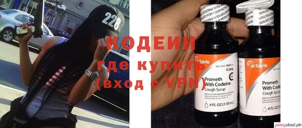 соль ск Дмитриев